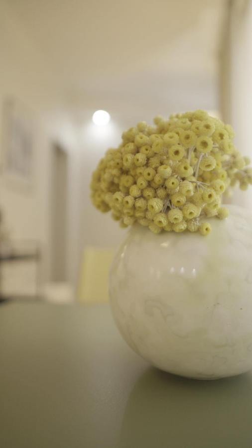 City Class Accommodation Zadar Bagian luar foto
